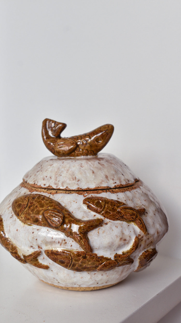 Cardumen terracota